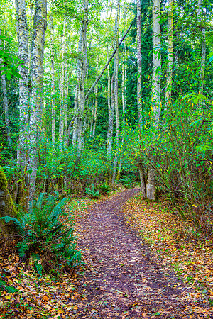 Dungeonous Spit Trail 2 Washington