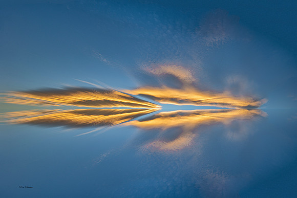 Atomic Wedge 30 by 20