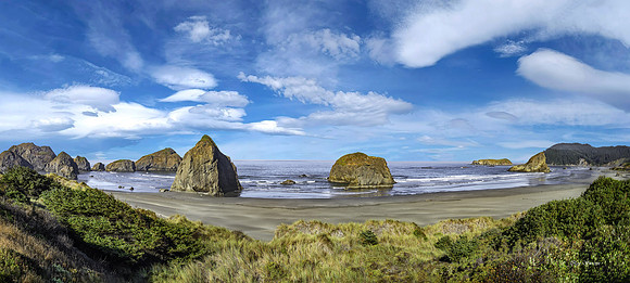Oregon Coastal Vista