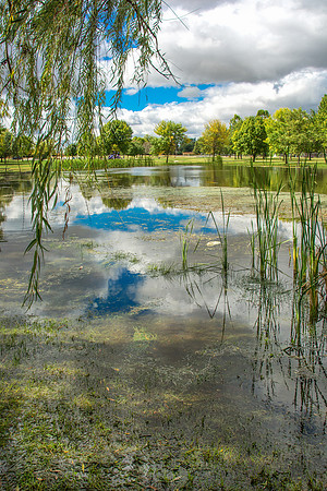 El Paso, IL Lake 1
