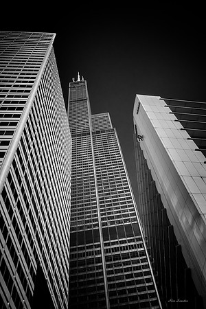 Sears 2 BW 12 by 18
