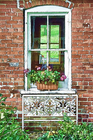 Window on the Past