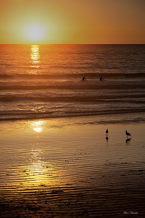 Last Wave