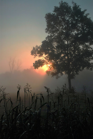 Missouri Sunrise
