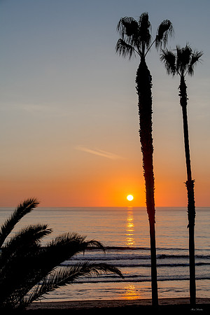 Sunset Palms