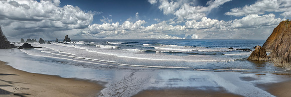 Oregon Costal Pan 1 36 by 12