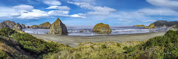 Oregon Coastal Pan B 36 by 12
