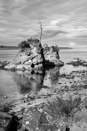 Lone Tree Island Sunset Cannon Beach Oregon BW