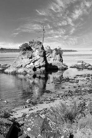 Lone Tree Island Cannon Beach Oregon BW