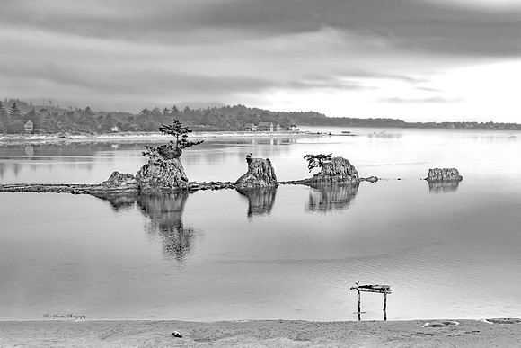 Four Brothers Lincoln City Oregon Intertidal Rocks BW