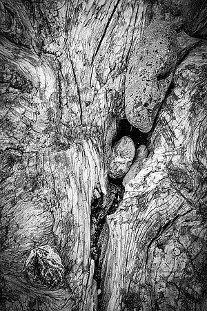 Hidden Treasure Crescent City California BW