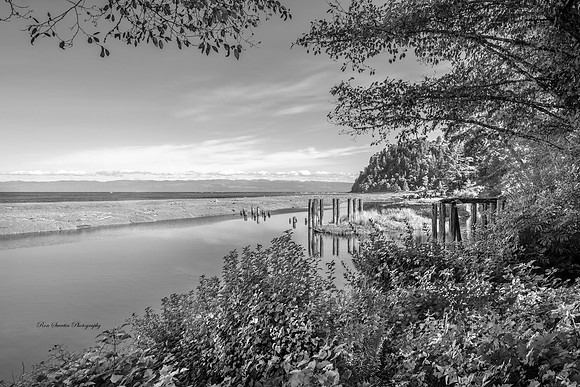 Northern Washington Coast Inlet BW