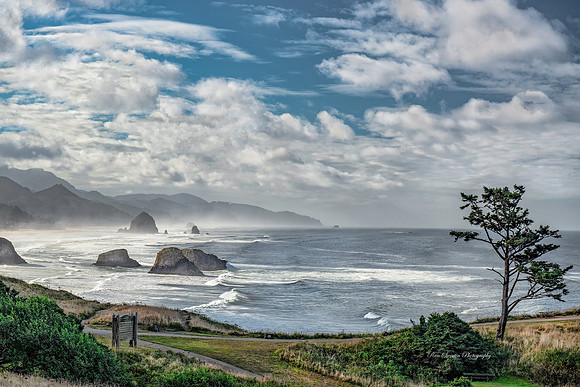 Ecola Park Oregon Surf
