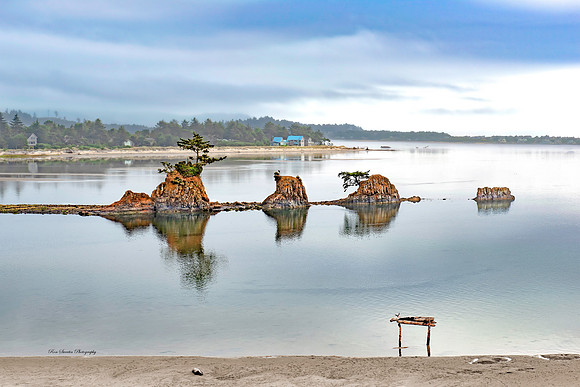 Four Brothers Lincoln City Oregon Intertidal Rocks