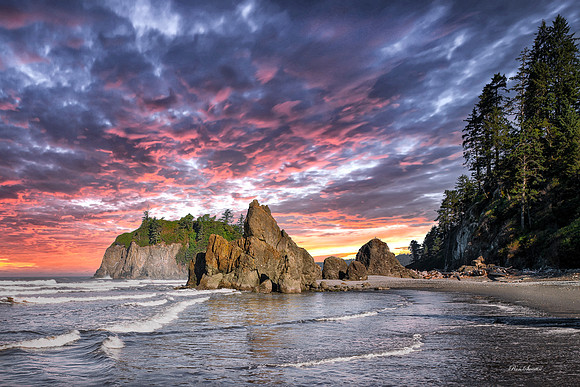 Ruby Beach Waves 3