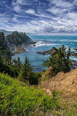 Cape Arago State Park Oregon Coast