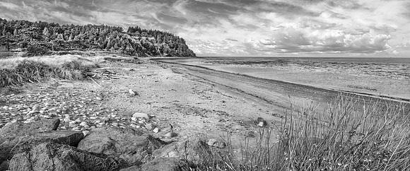 Port Townsend Washington Bay Pan BW