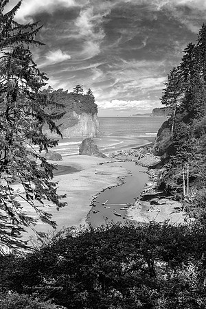 Ruby Beach From Path 2 BW