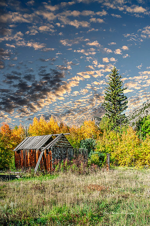 Poudre Canyon Colorado Shack
