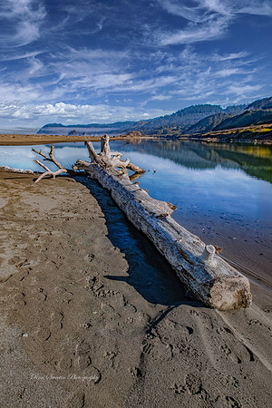 Log by Oregon Coast Tidal Pool