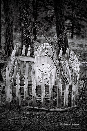 Rustic Repose 2 Nederland, CO