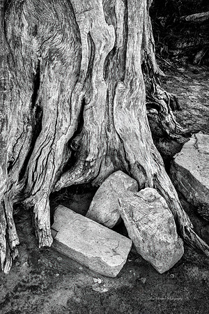 Up Against It Longmont, CO