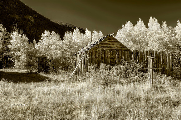 Poudre Cannyon Cabin 2 Colorado