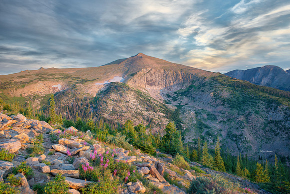 Rocky Mountain National Park Sunrise Flowers