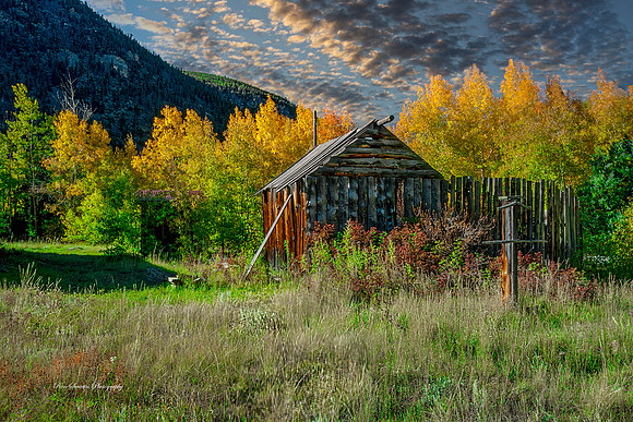 Poudre Canyon Colorado Shack 2
