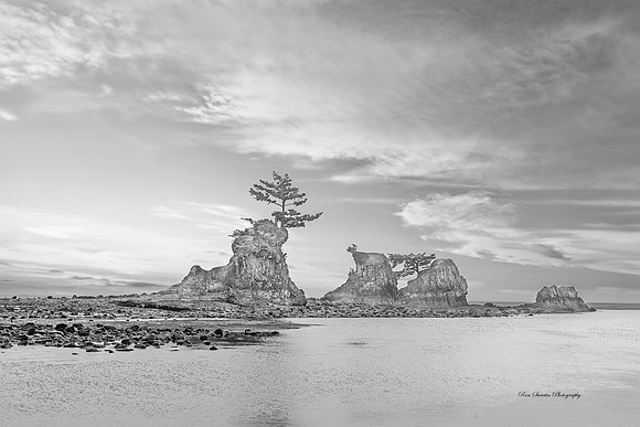 Lincoln City Oregon Intertidal Rocks BW